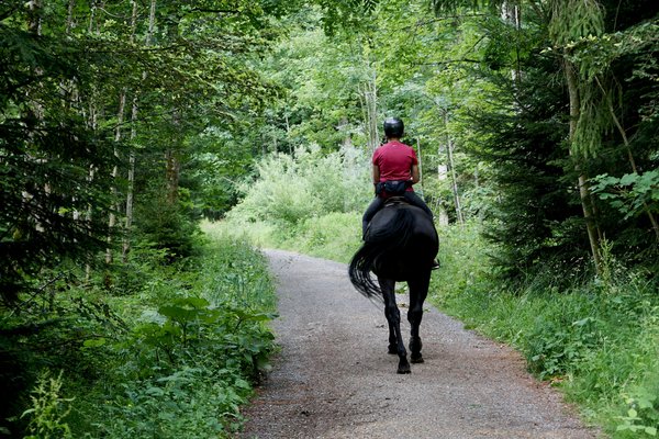 Comment organiser une randonnée à cheval sur la plage en Andalousie, Espagne?